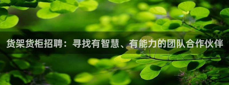 杏运注册账号：货架货柜招聘：寻找有智慧、