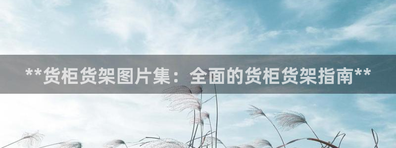 杏运体育官网：**货柜货架图片集：全面的