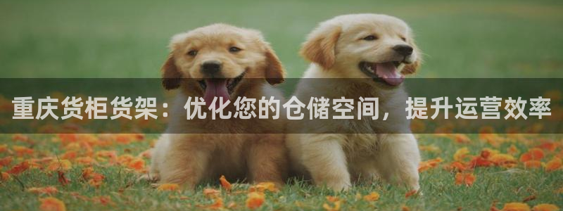 杏运娱乐平台注册地址在哪里：重庆货柜货架