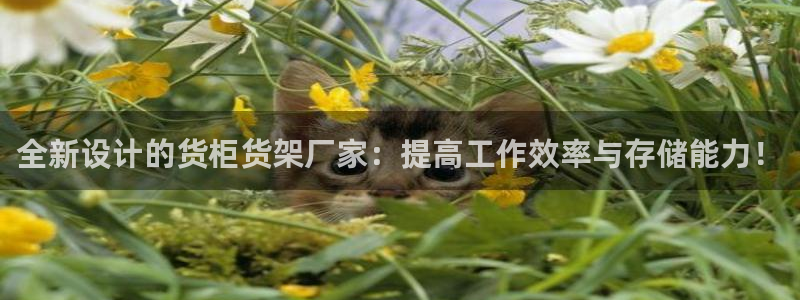 杏运体育app下载安装手机版