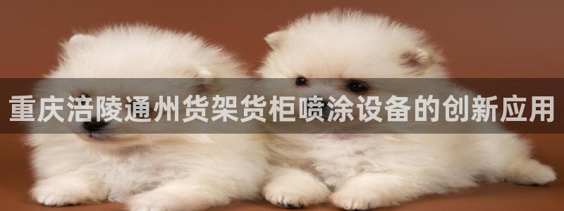 杏运体育娱乐：重庆涪陵通州货架货柜喷涂设